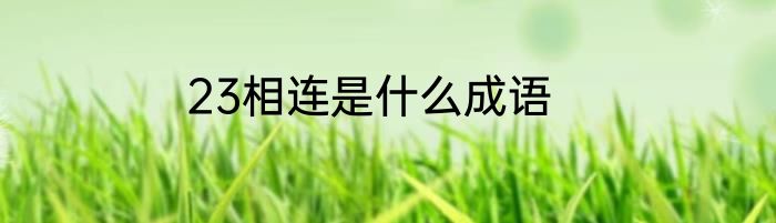 23相连是什么成语
