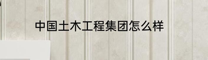 中国土木工程集团怎么样