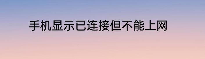 手机显示已连接但不能上网