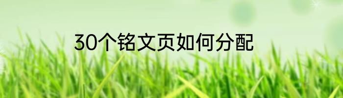 30个铭文页如何分配
