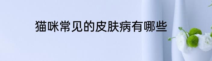 猫咪常见的皮肤病有哪些
