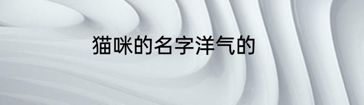 猫咪的名字洋气的