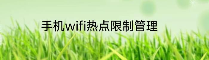 手机wifi热点限制管理