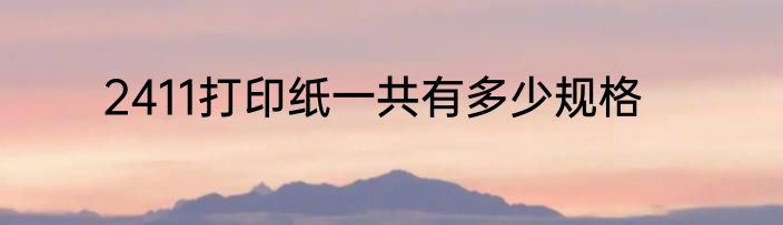 2411打印纸一共有多少规格