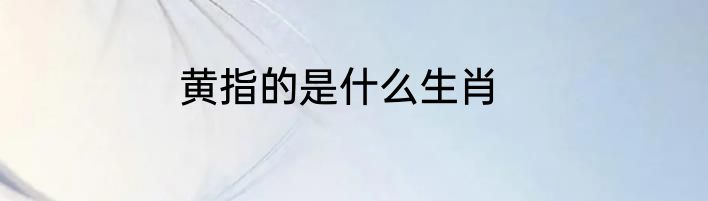 黄指的是什么生肖