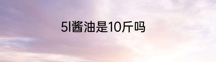 5l酱油是10斤吗