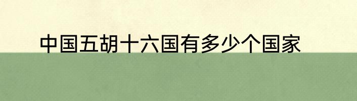 中国五胡十六国有多少个国家