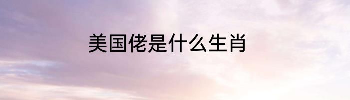 美国佬是什么生肖