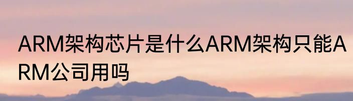 ARM架构芯片是什么ARM架构只能ARM公司用吗