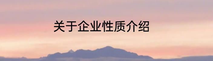 关于企业性质介绍