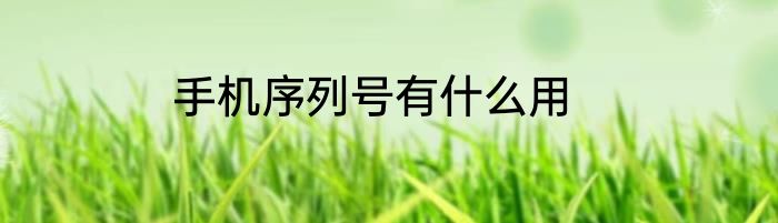 手机序列号有什么用