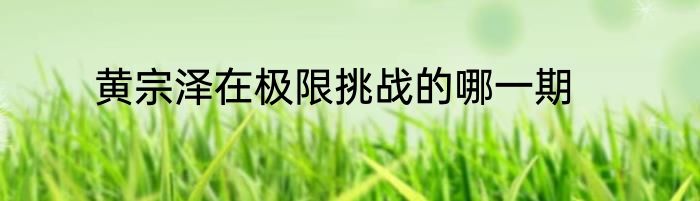 黄宗泽在极限挑战的哪一期