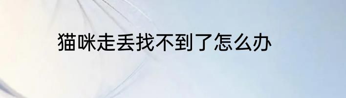 猫咪走丢找不到了怎么办