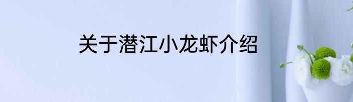 关于潜江小龙虾介绍