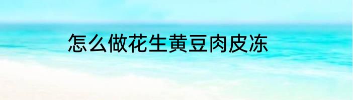 怎么做花生黄豆肉皮冻