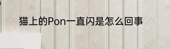 猫上的Pon一直闪是怎么回事