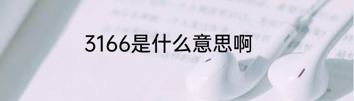 3166是什么意思啊