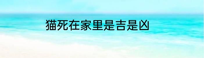猫死在家里是吉是凶