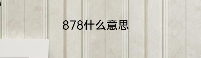 878什么意思
