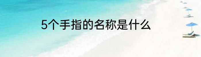 5个手指的名称是什么