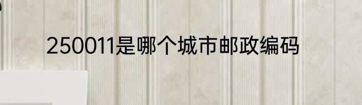 250011是哪个城市邮政编码