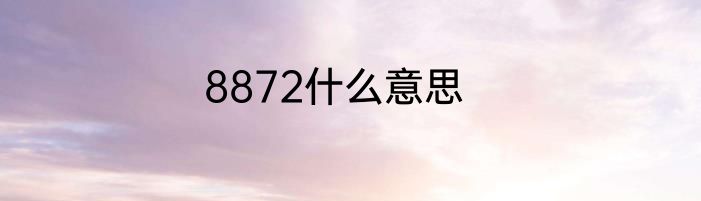 8872什么意思