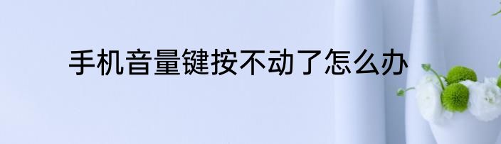手机音量键按不动了怎么办