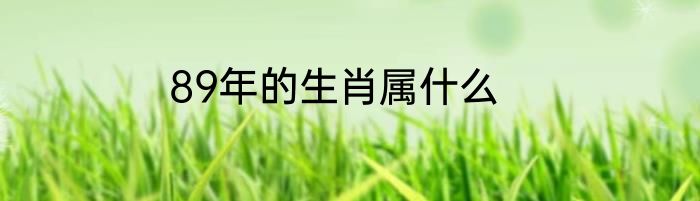 89年的生肖属什么