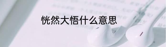 恍然大悟什么意思