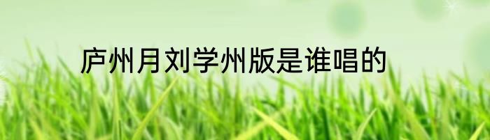 庐州月刘学州版是谁唱的