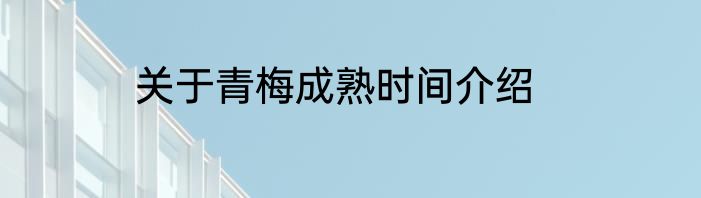 关于青梅成熟时间介绍