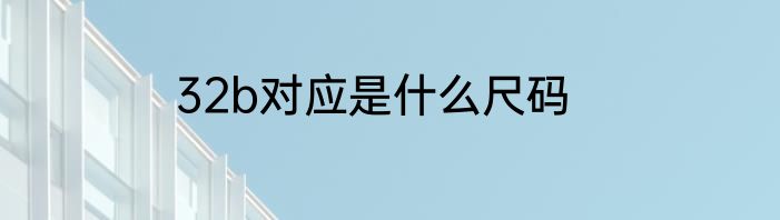 32b对应是什么尺码