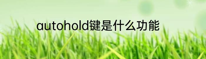 autohold键是什么功能