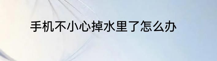 手机不小心掉水里了怎么办