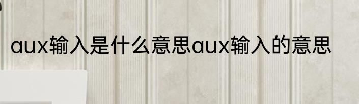 aux输入是什么意思aux输入的意思