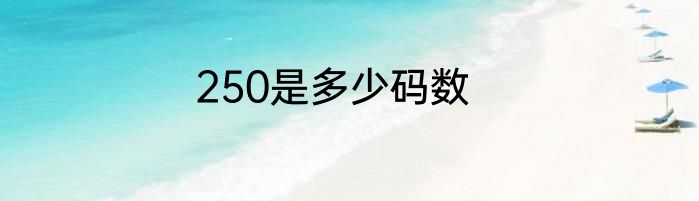 250是多少码数