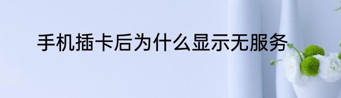 手机插卡后为什么显示无服务
