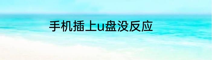 手机插上u盘没反应