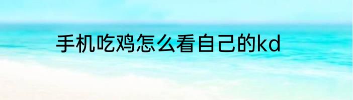 手机吃鸡怎么看自己的kd