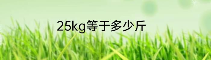 25kg等于多少斤
