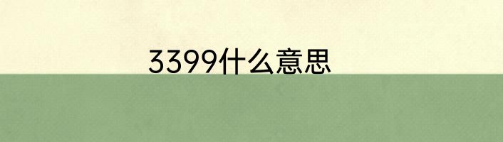3399什么意思