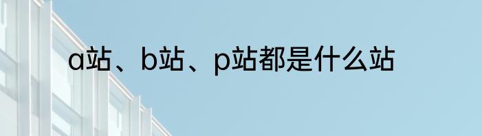 a站、b站、p站都是什么站