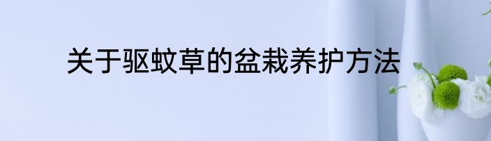 关于驱蚊草的盆栽养护方法