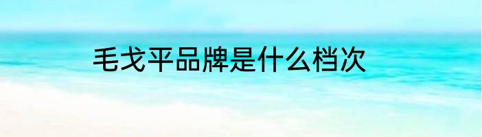 毛戈平品牌是什么档次