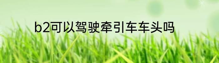 b2可以驾驶牵引车车头吗