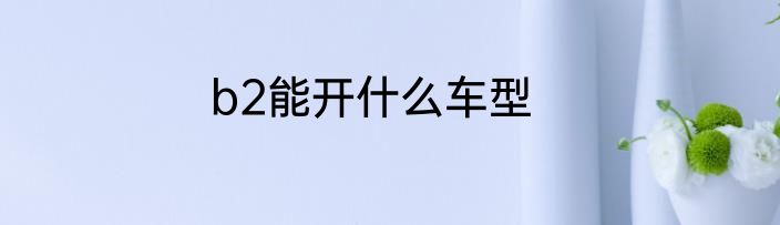 b2能开什么车型