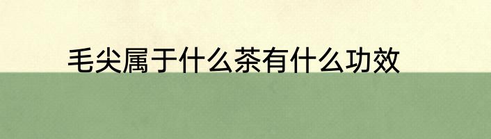 毛尖属于什么茶有什么功效