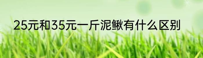 25元和35元一斤泥鳅有什么区别