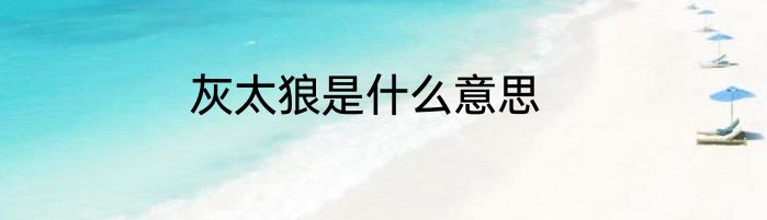 灰太狼是什么意思