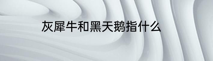 灰犀牛和黑天鹅指什么